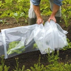 Tunnel Cloche 18 Tunnel Cloche -The Garden Hub Sales tc4 1