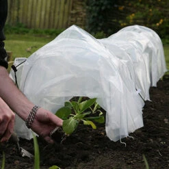 Tunnel Cloche 19 Tunnel Cloche -The Garden Hub Sales tc5 1