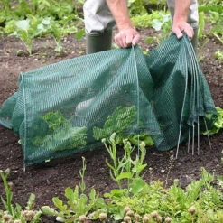 Tunnel Cloche 21 Tunnel Cloche -The Garden Hub Sales tc7 1