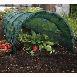 Tunnel Cloche 22 Tunnel Cloche -The Garden Hub Sales tc8 1