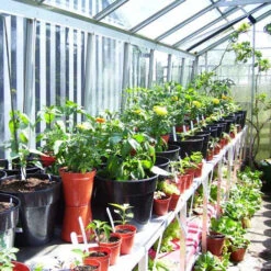 Two Tier Standard Up Staging 16 Two Tier Standard Up Staging -The Garden Hub Sales usstt3