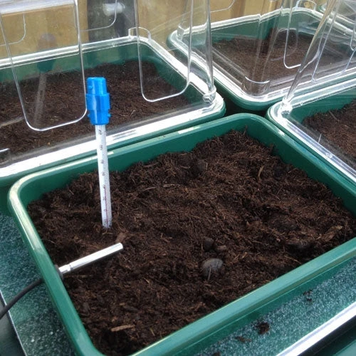 VariTemp Heated Propagator 7 VariTemp Heated Propagator - Image 7