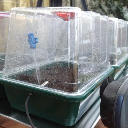 VariTemp Heated Propagator 8 VariTemp Heated Propagator - Image 8